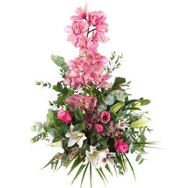 Orchid Arrangement Fresh Ideas Florists Chesterfield