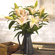 LILY VASE OR JUG