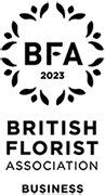 BFA""